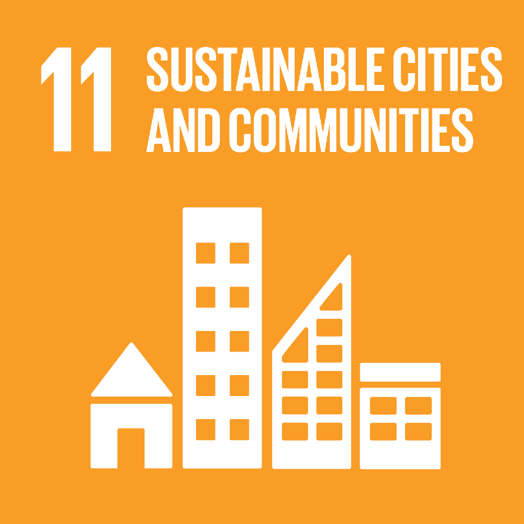 SDG 11