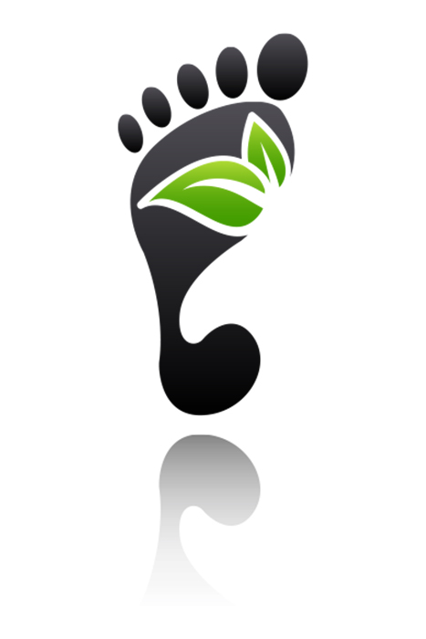 Icon Environmental impact